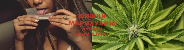 гидропоника Балабаново