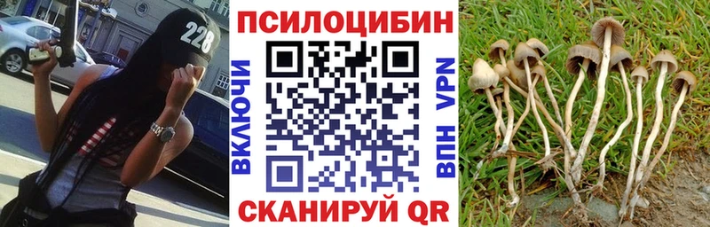 мега ТОР Инза Псилоцибиновые грибы Magic Shrooms